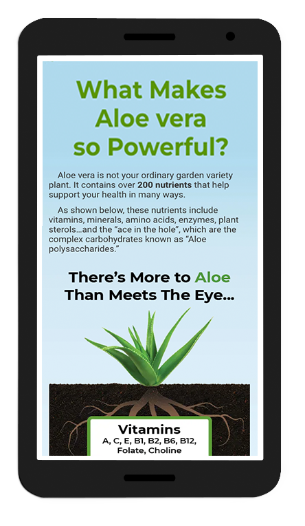 website design image